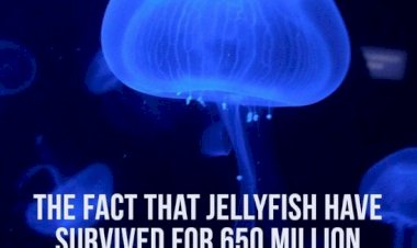 Unquestionable truth