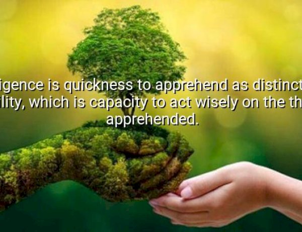 What is intelligence ?